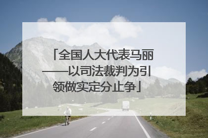 全国人大代表马丽——以司法裁判为引领做实定分止争