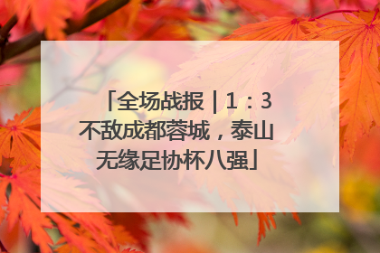 全场战报｜1：3不敌成都蓉城，泰山无缘足协杯八强