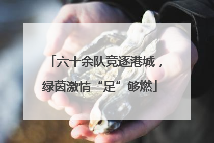 六十余队竞逐港城，绿茵激情“足”够燃