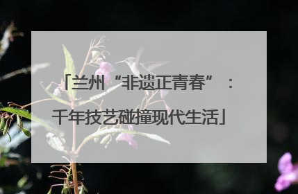 兰州“非遗正青春”：千年技艺碰撞现代生活