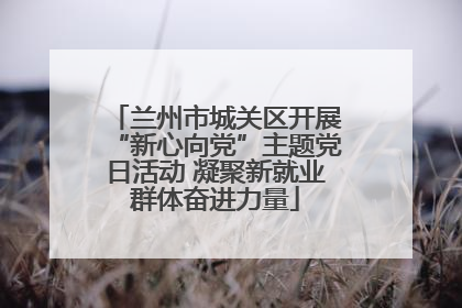 兰州市城关区开展“新心向党”主题党日活动 凝聚新就业群体奋进力量