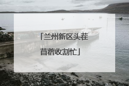 兰州新区头茬苜蓿收割忙