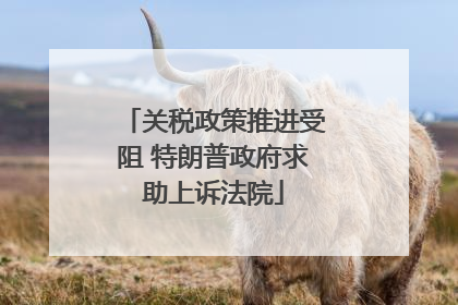 关税政策推进受阻 特朗普政府求助上诉法院