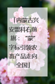 内蒙古兴安盟科右前旗：“蒙”字标引领农畜产品走向全国