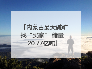 内蒙古最大碱矿找“买家” 储量20.77亿吨