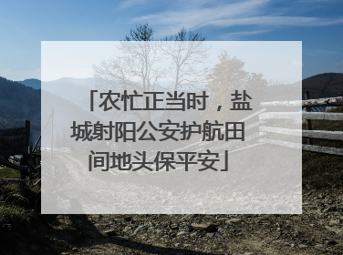 农忙正当时，盐城射阳公安护航田间地头保平安
