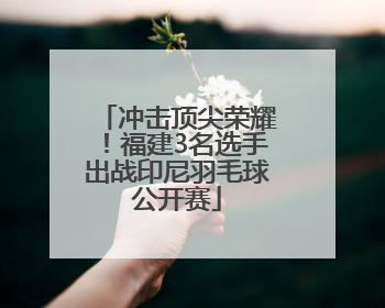 冲击顶尖荣耀！福建3名选手出战印尼羽毛球公开赛