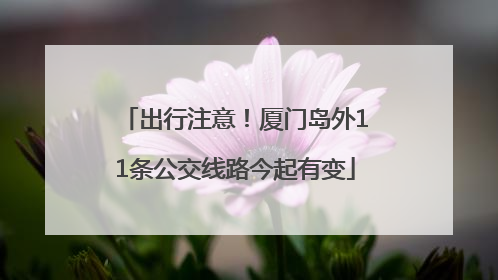 出行注意！厦门岛外11条公交线路今起有变
