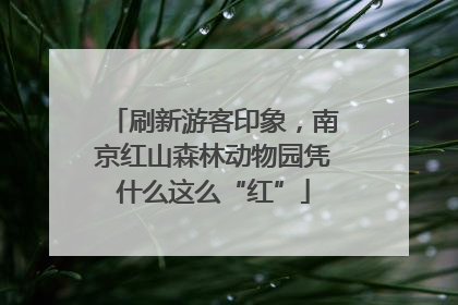 刷新游客印象，南京红山森林动物园凭什么这么“红”