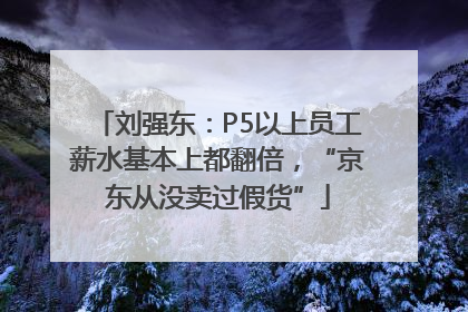 刘强东：P5以上员工薪水基本上都翻倍，“京东从没卖过假货”