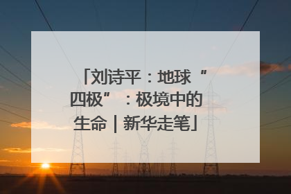 刘诗平：地球“四极”：极境中的生命｜新华走笔