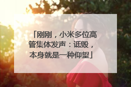 刚刚，小米多位高管集体发声：诋毁，本身就是一种仰望