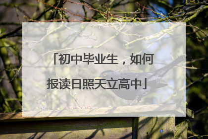 初中毕业生，如何报读日照天立高中