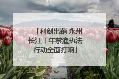 利剑出鞘 永州长江十年禁渔执法行动全面打响