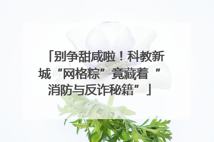 别争甜咸啦！科教新城“网格粽”竟藏着“消防与反诈秘籍”