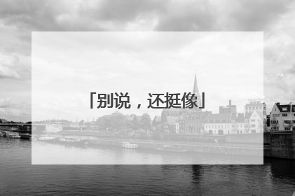 别说，还挺像