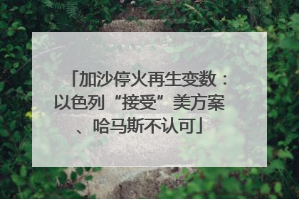加沙停火再生变数：以色列“接受”美方案、哈马斯不认可