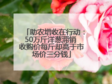 助农增收在行动：50万斤洋葱滞销 收购价每斤却高于市场价三分钱
