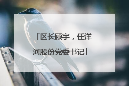 区长顾宇，任洋河股份党委书记