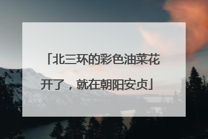 北三环的彩色油菜花开了，就在朝阳安贞