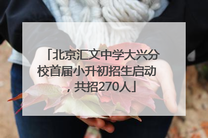 北京汇文中学大兴分校首届小升初招生启动，共招270人