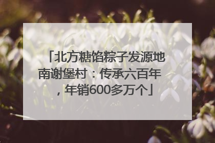 北方糖馅粽子发源地南谢堡村：传承六百年，年销600多万个