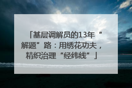 基层调解员的13年“解题”路：用绣花功夫，精织治理“经纬线”