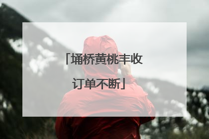 埇桥黄桃丰收 订单不断