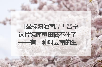 坐标滇池南岸！晋宁这片镜面稻田藏不住了——有一种叫云南的生活之365天