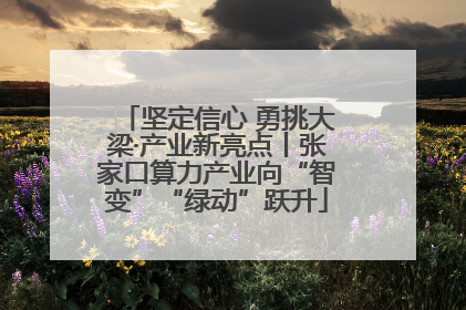 坚定信心 勇挑大梁·产业新亮点丨张家口算力产业向“智变”“绿动”跃升