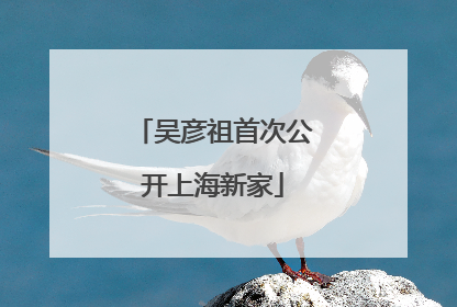 吴彦祖首次公开上海新家