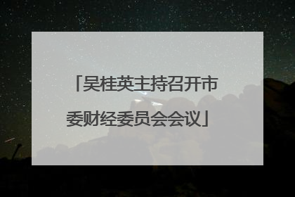 吴桂英主持召开市委财经委员会会议