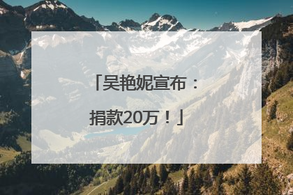 吴艳妮宣布：捐款20万！