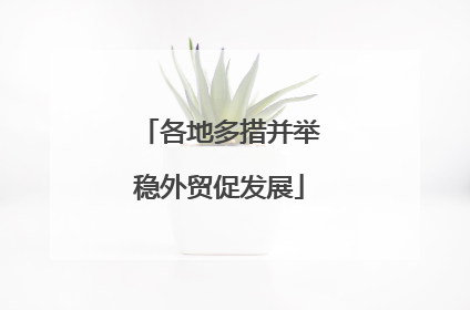 各地多措并举稳外贸促发展