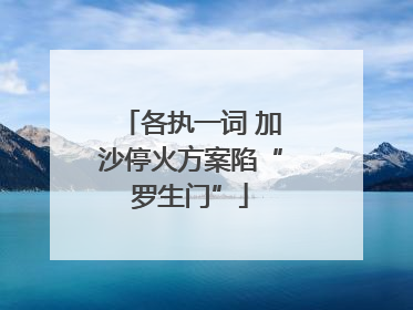各执一词 加沙停火方案陷“罗生门”
