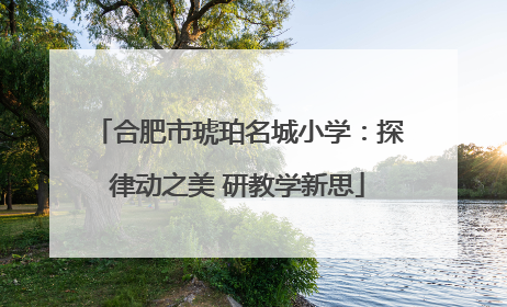 合肥市琥珀名城小学:探律动之美 研教学新思