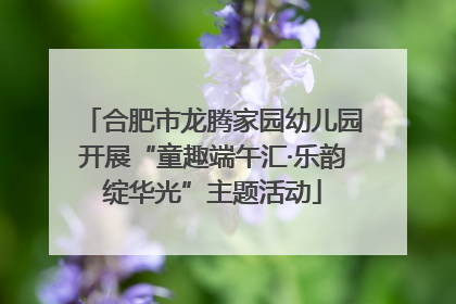 合肥市龙腾家园幼儿园开展“童趣端午汇·乐韵绽华光”主题活动