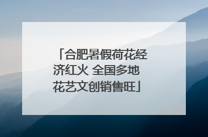 合肥暑假荷花经济红火 全国多地花艺文创销售旺
