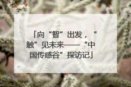 向“智”出发，“触”见未来——“中国传感谷”探访记