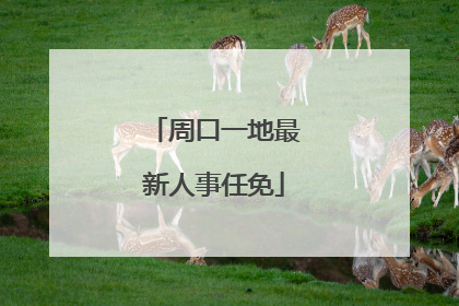 周口一地最新人事任免