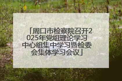 周口市检察院召开2025年党组理论学习中心组集中学习暨检委会集体学习会议