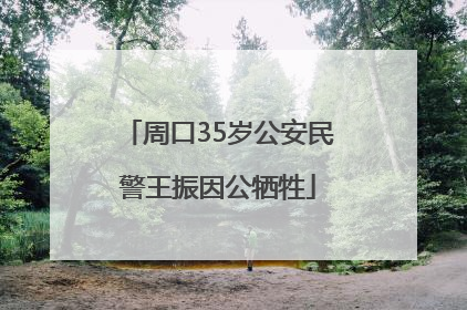 周口35岁公安民警王振因公牺牲