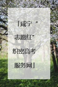 咸宁“志愿红”织密高考服务网