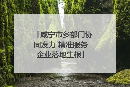 咸宁市多部门协同发力 精准服务企业落地生根