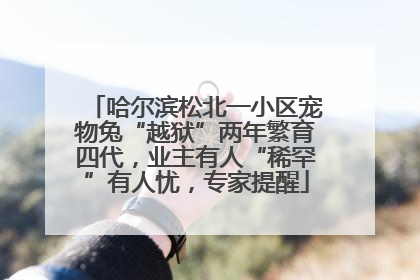 哈尔滨松北一小区宠物兔“越狱”两年繁育四代，业主有人“稀罕”有人忧，专家提醒