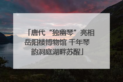唐代“独幽琴”亮相岳阳楼博物馆 千年琴韵洞庭湖畔苏醒