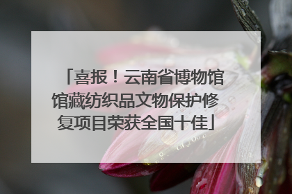 喜报！云南省博物馆馆藏纺织品文物保护修复项目荣获全国十佳
