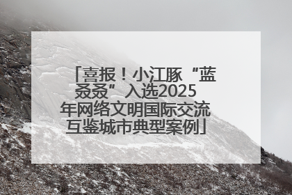 喜报！小江豚“蓝叒叒”入选2025年网络文明国际交流互鉴城市典型案例