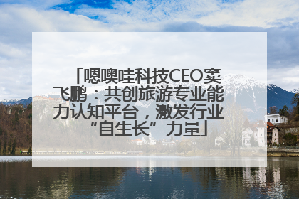 嗯噢哇科技CEO窦飞鹏：共创旅游专业能力认知平台，激发行业“自生长”力量