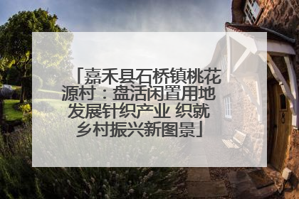 嘉禾县石桥镇桃花源村：盘活闲置用地发展针织产业 织就乡村振兴新图景